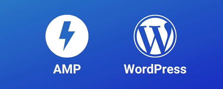 amp wordpress