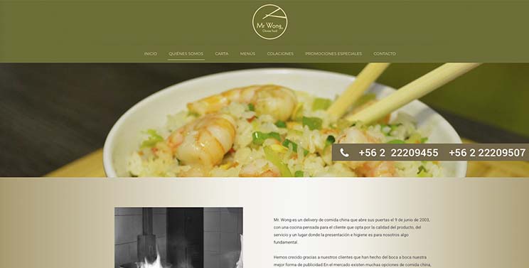 P&aacute;gina web de Mr Wong detalle