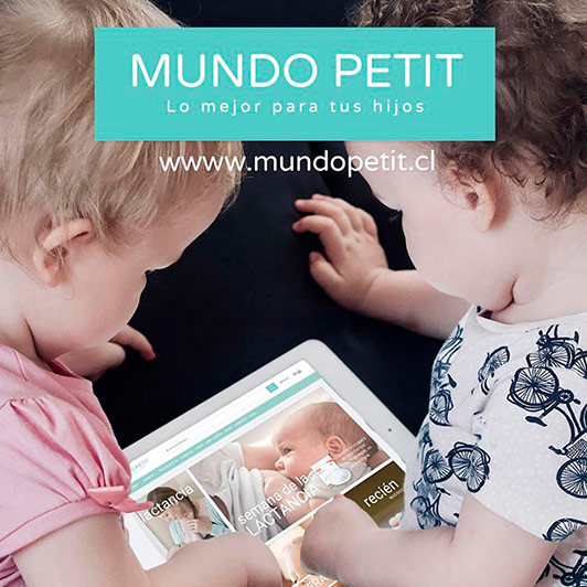 dise&ntilde;o tienda online Mundo Petit