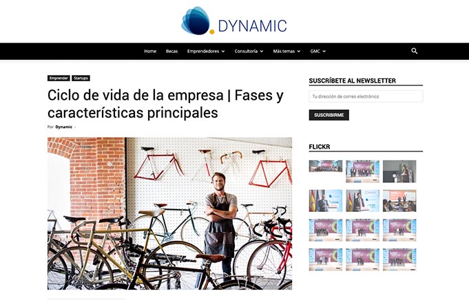 detalle dynamic seo marketing contenidos madrid 3