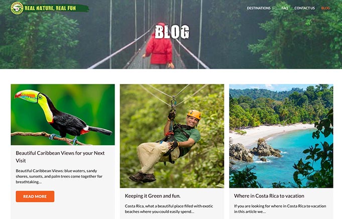detalle seo rainforest adventures